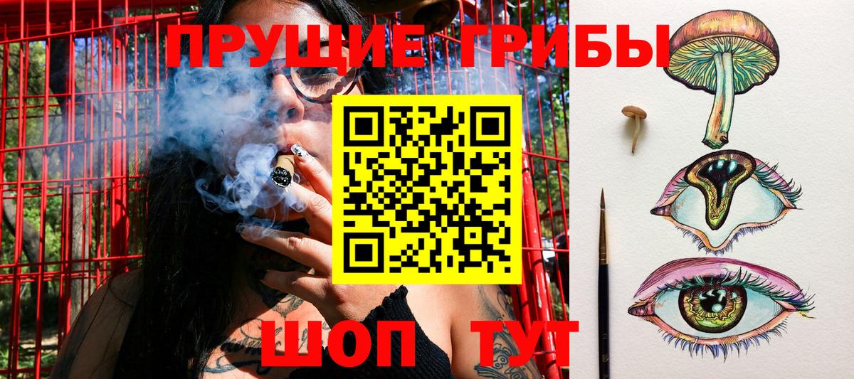 Галлюциногенные грибы Psilocybine cubensis Выкса