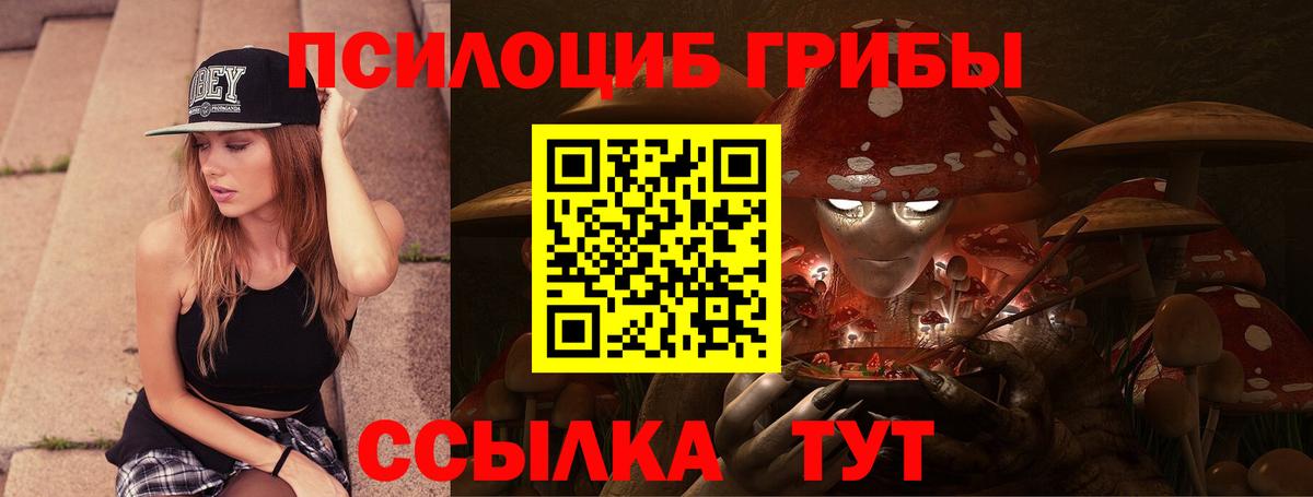 Псилоцибиновые грибы Psilocybine cubensis  Галлюциногенные грибы GOLDEN TEACHER  Вход с VPN  Выкса 